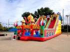 Mickey slide